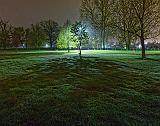 Park At Night_00274